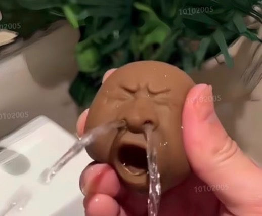 Face water squirter
